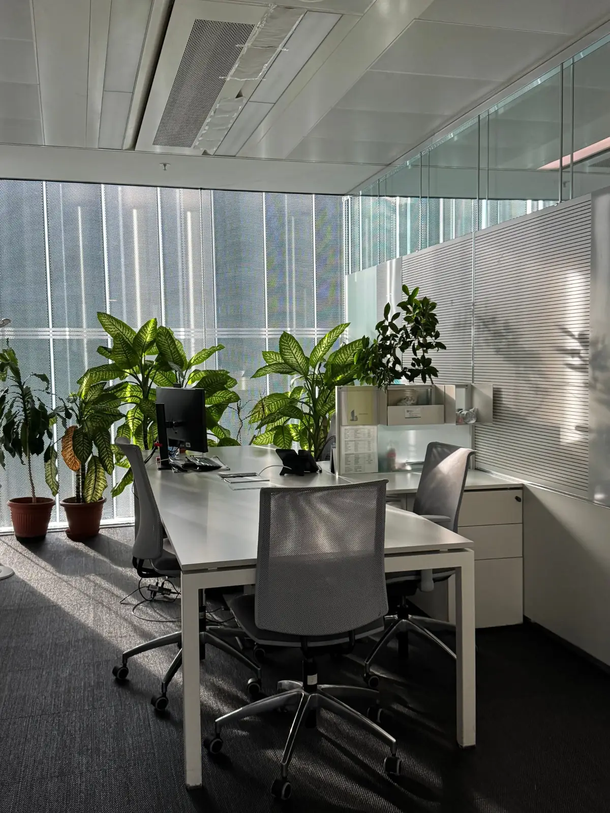 Bright office with desks, plants and glass partitions